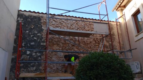 interior garden reform